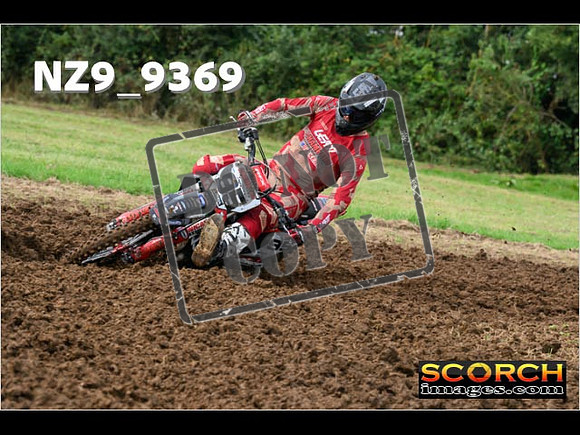 Experts-037