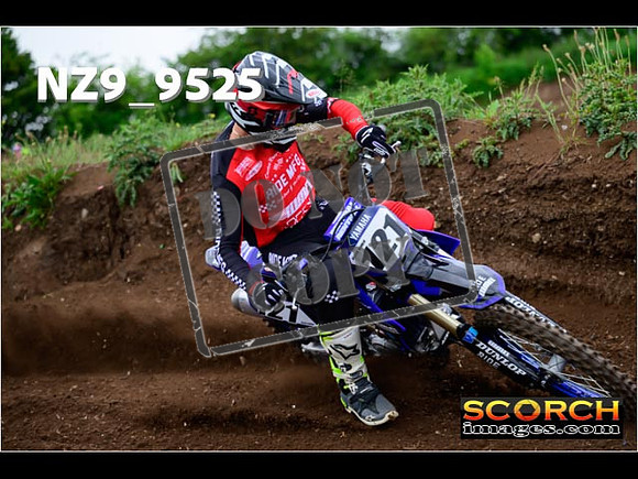 Experts-124