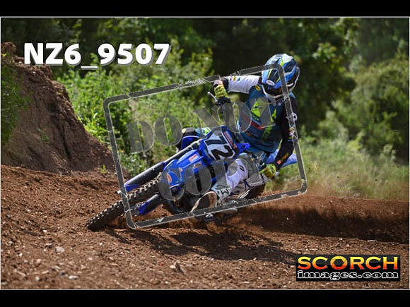 Experts-270