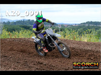 IntersGreen-008