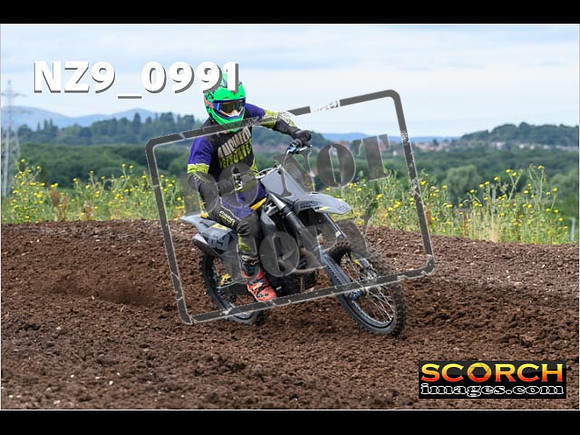 IntersGreen-008