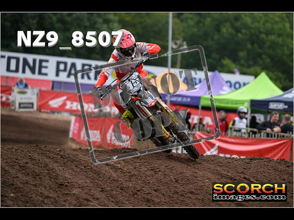 MX2-101