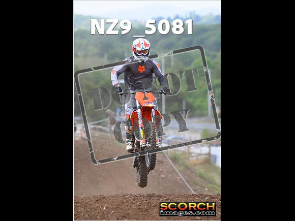 InterGreenOrange-203