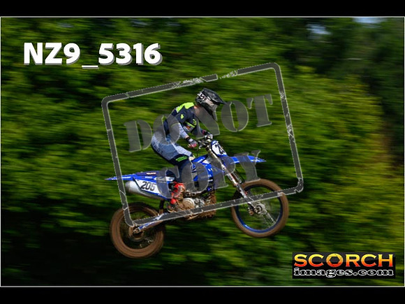 Experts-031