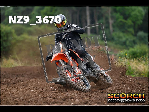 Experts-078