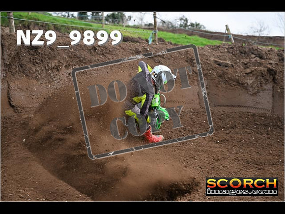 Experts-119