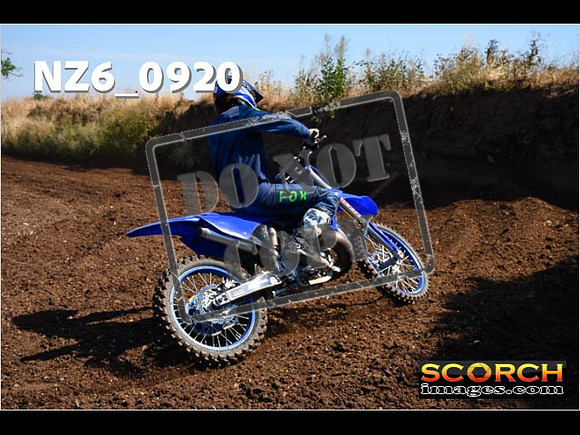 Experts-079