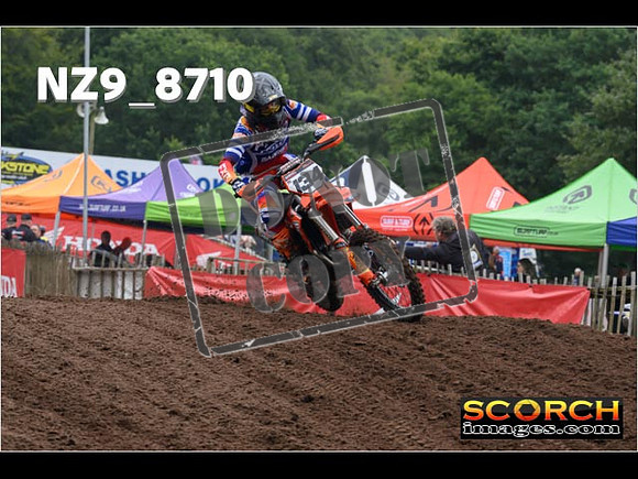 MX1-081