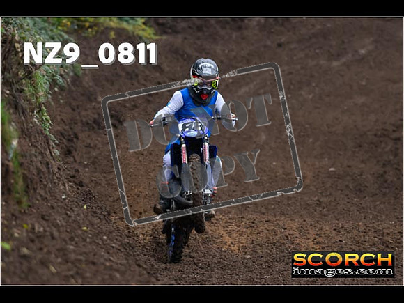 Experts-113