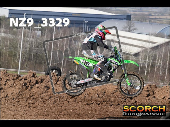 IntersGreen-083