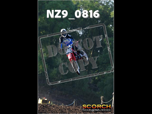Experts-032