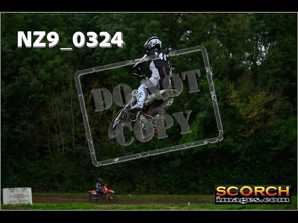 Novice-293