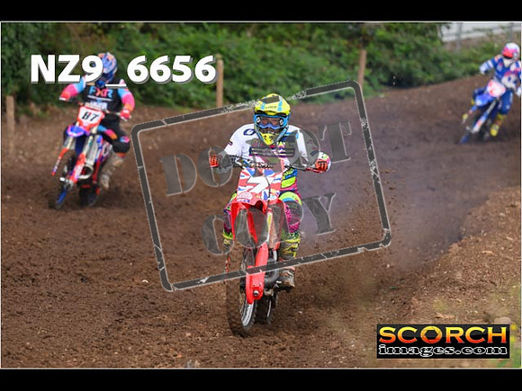 Red- Over 60-036