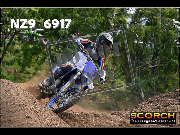Experts-315