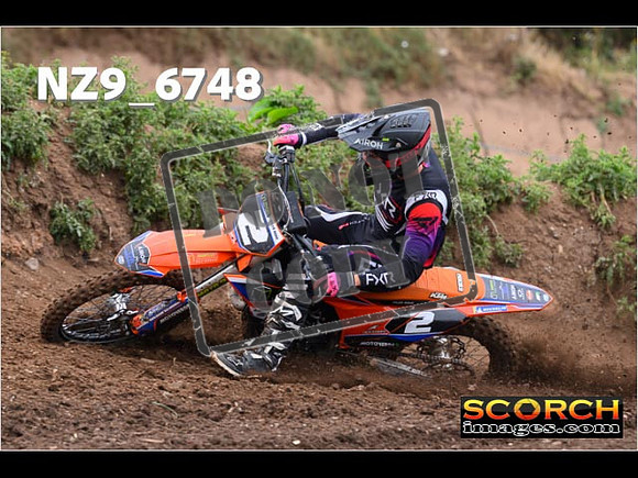 Experts-042