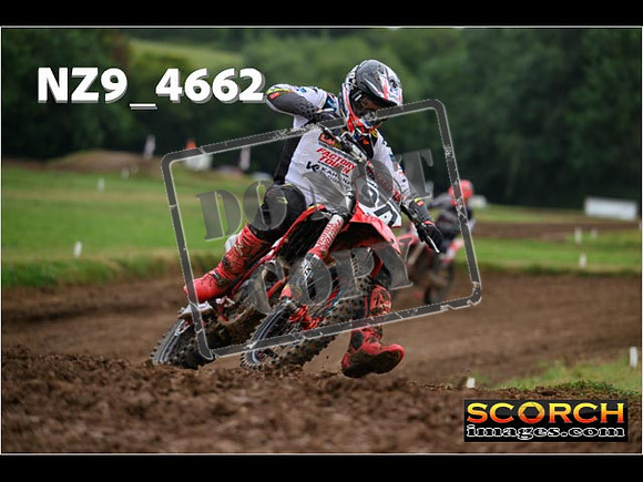 Experts-143