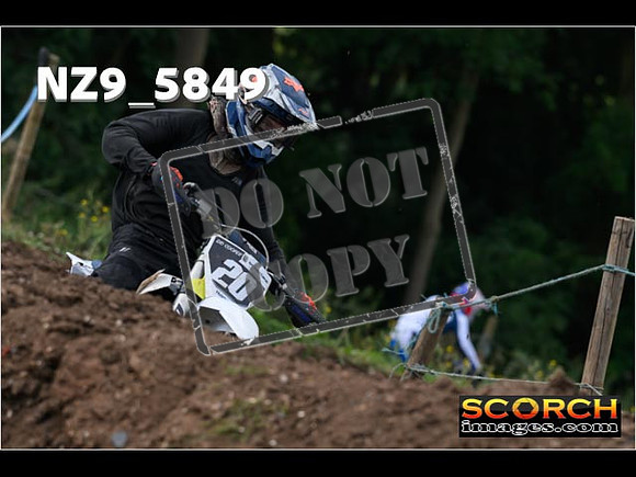 IntersGreen-039
