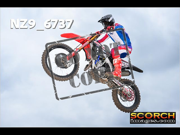 Experts-341