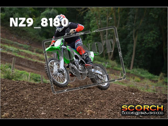Experts-118