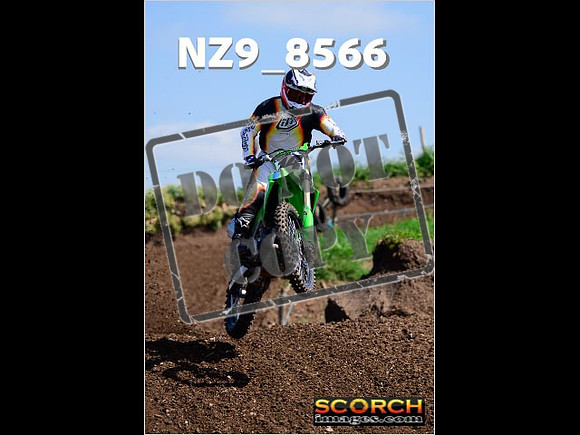 IntersGreenOrange-232