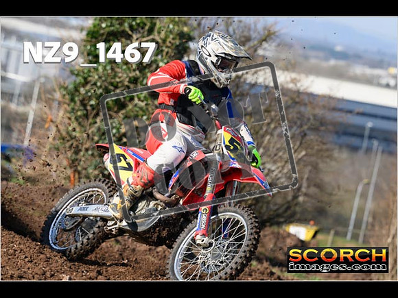 Experts-011