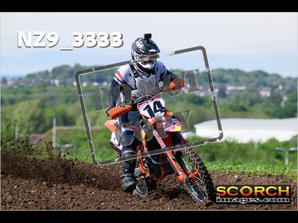 Experts-035