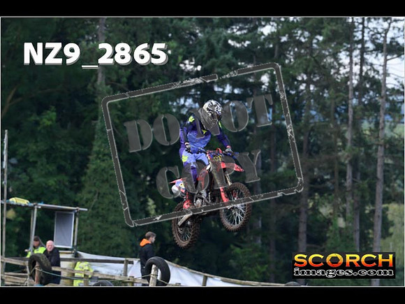 Experts-082