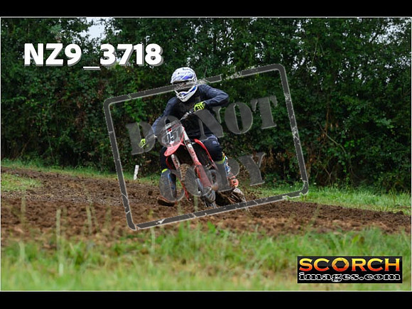 Experts-038