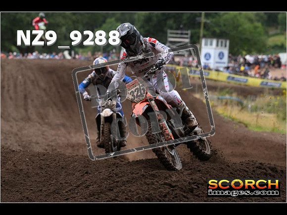 MX1-235