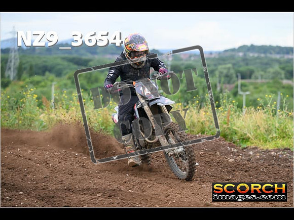 Experts-062