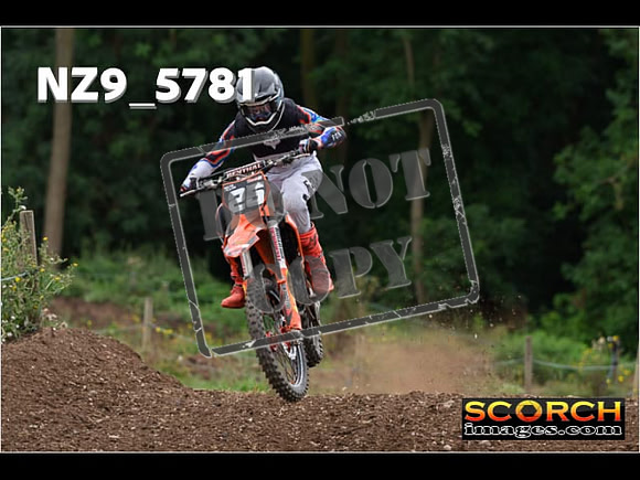 Experts-250