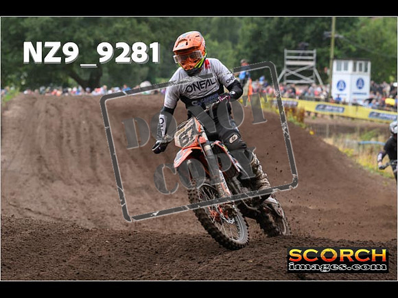 MX1-229