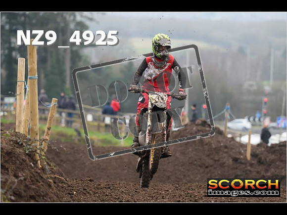 Experts-395
