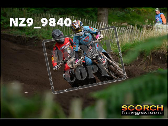 MX1-381