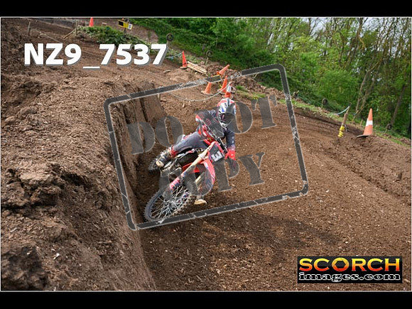 Experts-051
