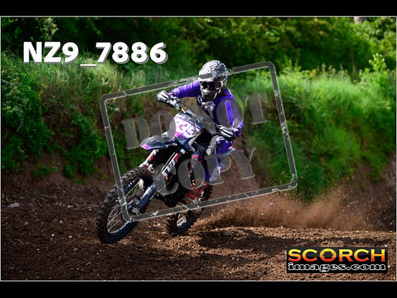 IntersGreenOrange-088
