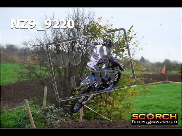 Experts-029