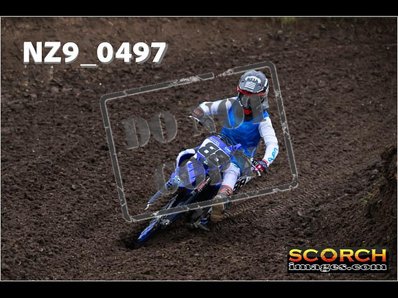 Experts-053