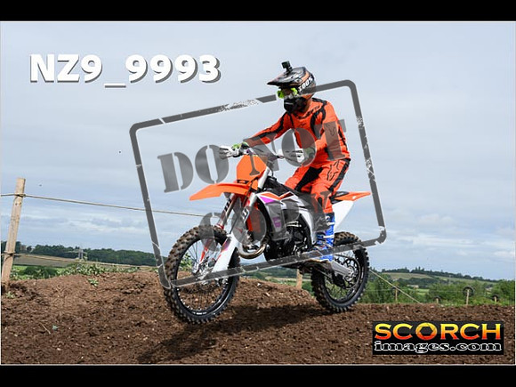 Inters GreenOrange-004