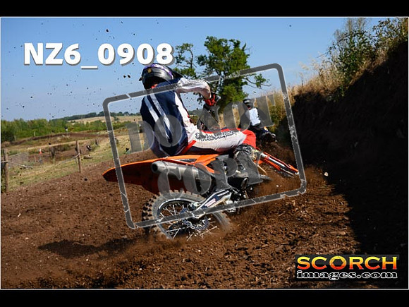 Experts-068