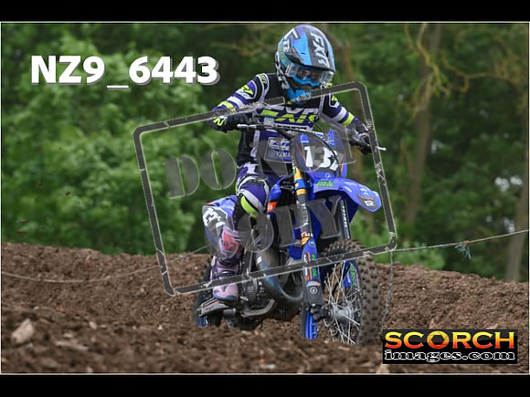 Experts-255
