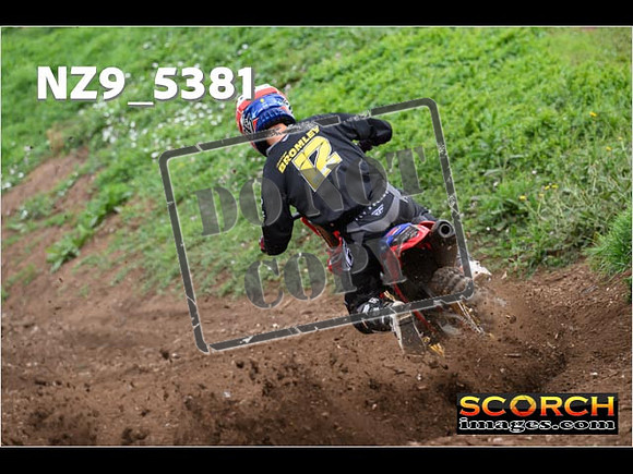 Experts-157