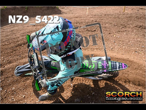 InterGreenOrange-273