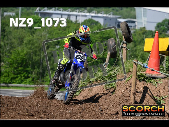 Experts-151