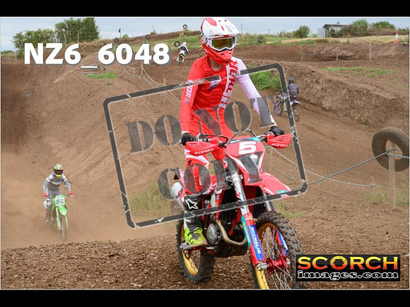 Inters Green-187