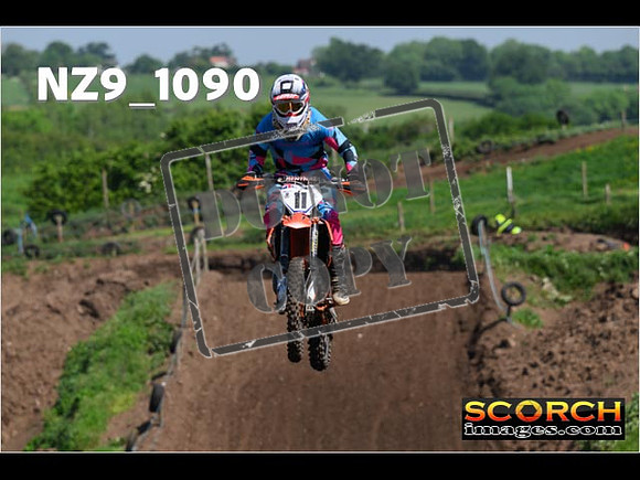 Experts-166