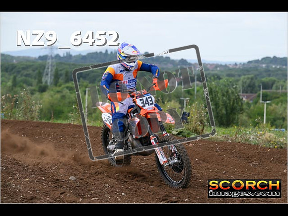 Experts-166