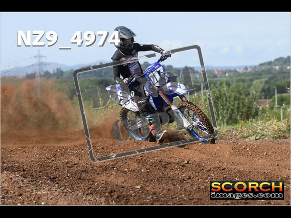 Experts-052