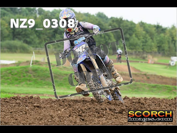 Novice-277