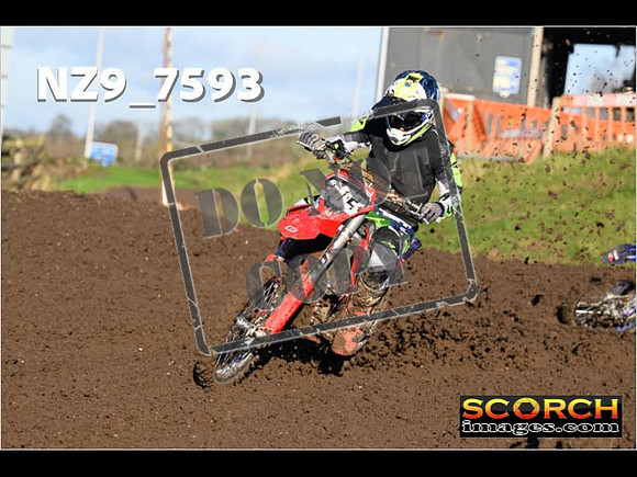 Experts-125